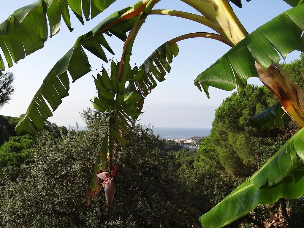Holiday home Casa Con Vistas Al Mar Y Piscina Privada Villa Lloret de Mar